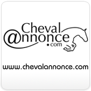Cheval Annonce
