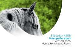 KERN Sébastien, ostéopathe animalier
