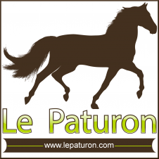 Le Paturon