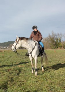 Dayane Collart - Monitrice d'équitation indépendante