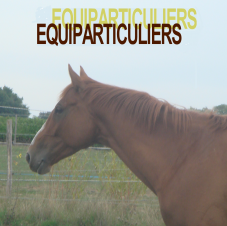 Equiparticuliers
