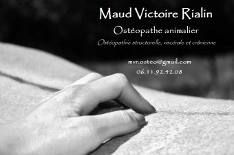 Maud Victoire Rialin - Ostéopathe animalier