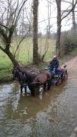 Equi'attelage - Cavaliers des Fontenelles