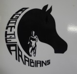 Agathé Arabians