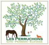 Les Perruchons