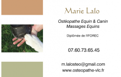 Ostéopathe équin et canin, massages équins