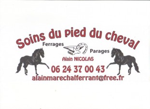 Soins du pied du cheval