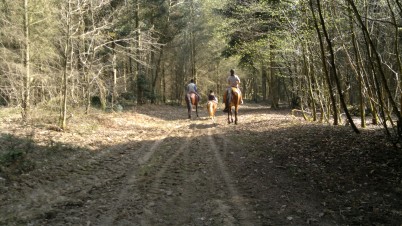 Les Ecuries de la Forêt d'Othe