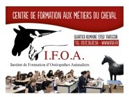 Institut de formation d'ostéopathes animaliers