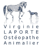 Virginie Laporte Ostéopathe Animalier