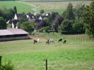 Haras d'Elincourt