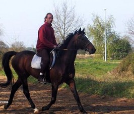 Ecurie Bonnot Jumping - Élevage FLEURI