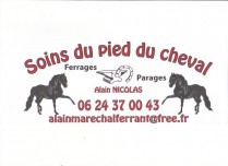 Soins du pied du cheval