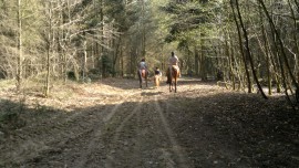 Les Ecuries de la Forêt d'Othe