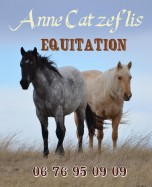 Anne Catzeflis Equitation