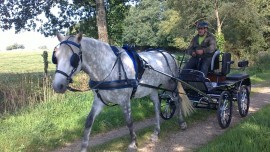 Equi’Attelage - Cavaliers des Fontenelles