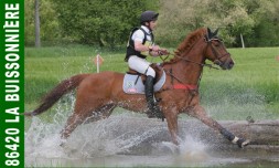 Poney Club de la Buissonniere