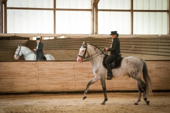 Ecole d'Equitation Equizones