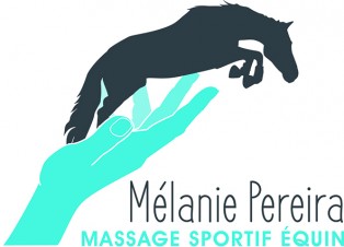 Massage Sportif Equin